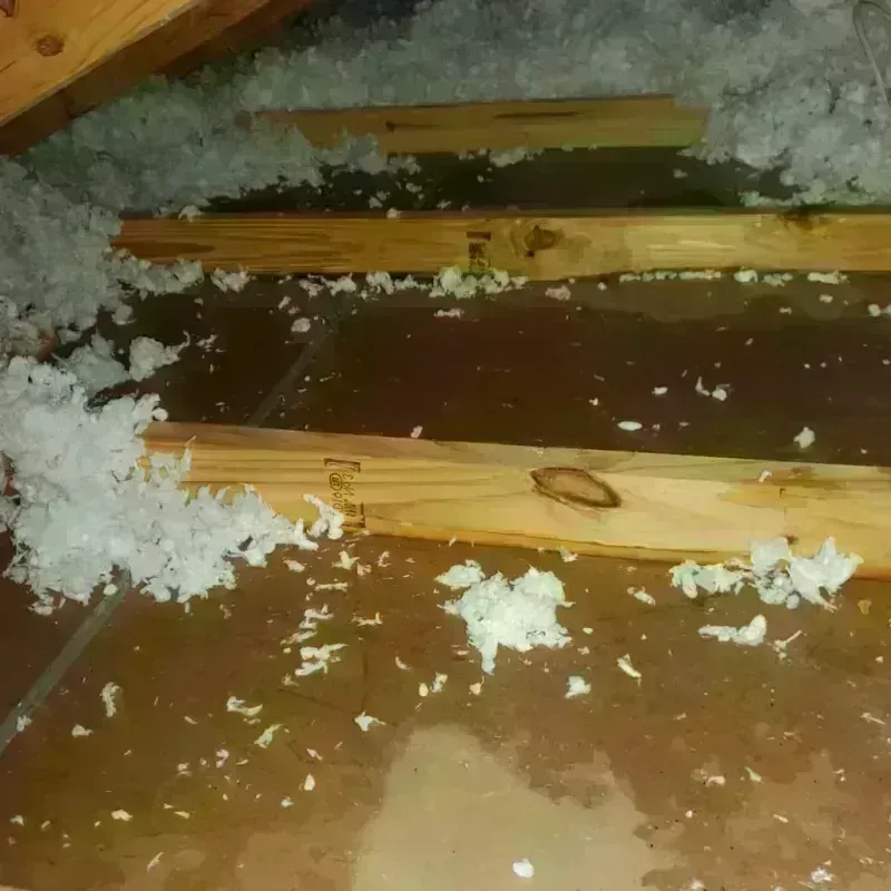 Attic Water Damage in Monticello, MO